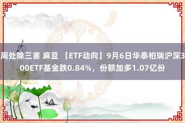 周处除三害 麻豆 【ETF动向】9月6日华泰柏瑞沪深300ETF基金跌0.84%，份额加多1.07亿份