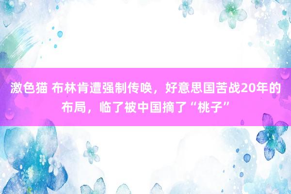   激色猫 布林肯遭强制传唤，好意思国苦战20年的布局，临了被中国摘了“桃子”