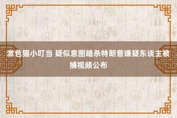 激色猫小叮当 疑似意图暗杀特朗普嫌疑东谈主被捕视频公布