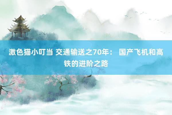 激色猫小叮当 交通输送之70年： 国产飞机和高铁的进阶之路