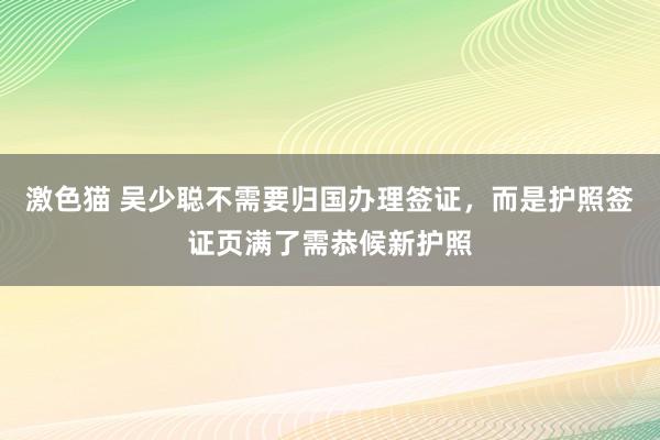   激色猫 吴少聪不需要归国办理签证，而是护照签证页满了需恭候新护照