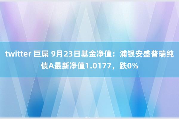   twitter 巨屌 9月23日基金净值：浦银安盛普瑞纯债A最新净值1.0177，跌0%