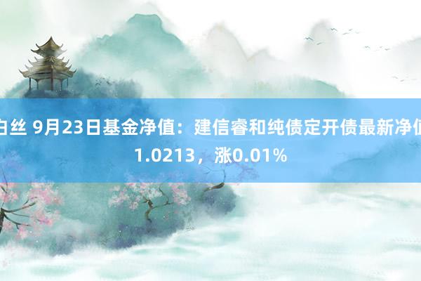   白丝 9月23日基金净值：建信睿和纯债定开债最新净值1.0213，涨0.01%