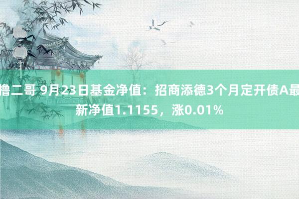   撸二哥 9月23日基金净值：招商添德3个月定开债A最新净值1.1155，涨0.01%