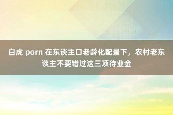   白虎 porn 在东谈主口老龄化配景下，农村老东谈主不要错过这三项待业金