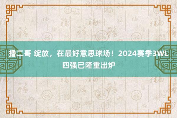   撸二哥 绽放，在最好意思球场！2024赛季3WL四强已隆重出炉