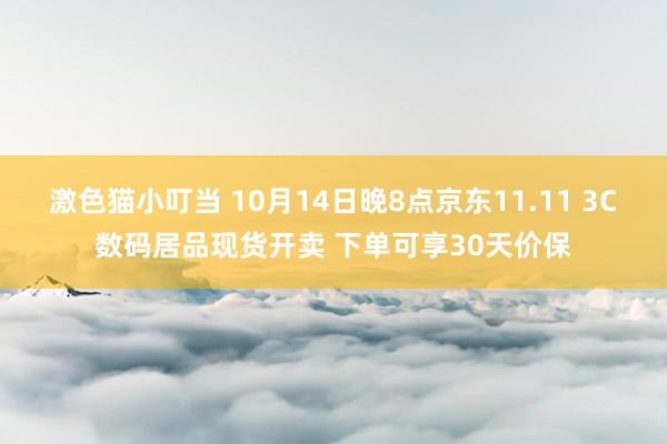 激色猫小叮当 10月14日晚8点京东11.11 3C数码居品现货开卖 下单可享30天价保