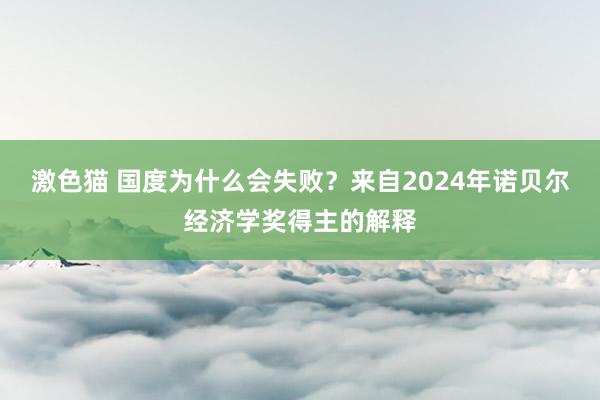 激色猫 国度为什么会失败？来自2024年诺贝尔经济学奖得主的解释