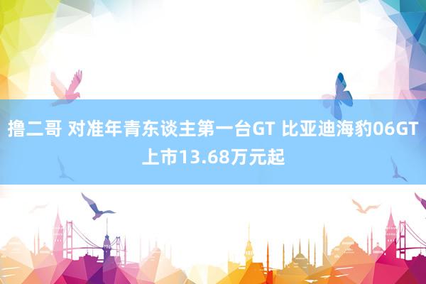   撸二哥 对准年青东谈主第一台GT 比亚迪海豹06GT上市13.68万元起