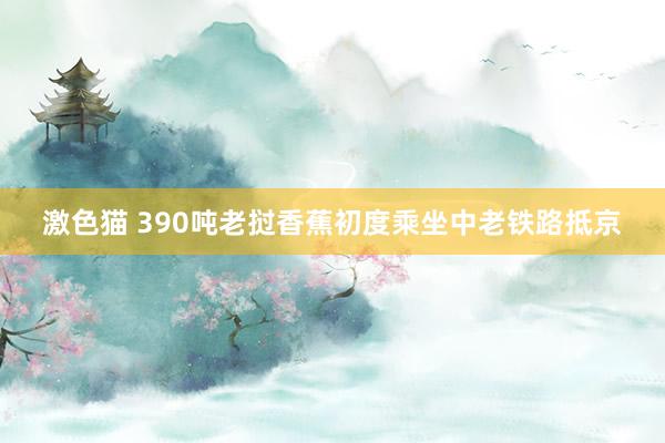   激色猫 390吨老挝香蕉初度乘坐中老铁路抵京