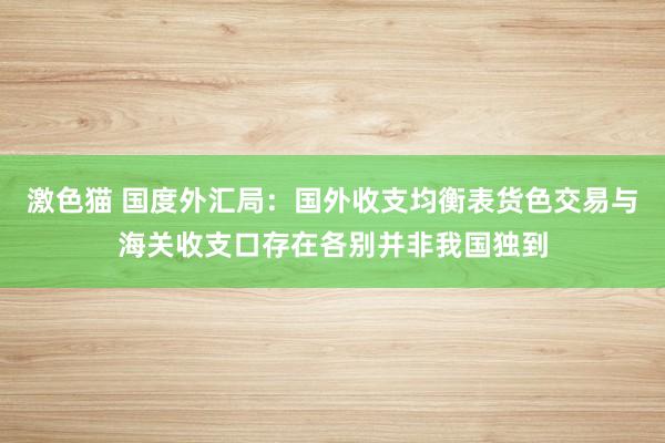   激色猫 国度外汇局：国外收支均衡表货色交易与海关收支口存在各别并非我国独到