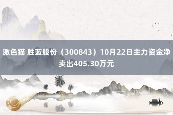   激色猫 胜蓝股份（300843）10月22日主力资金净卖出405.30万元