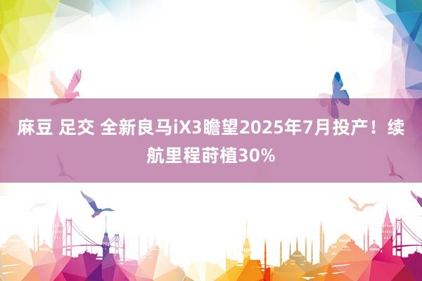   麻豆 足交 全新良马iX3瞻望2025年7月投产！续航里程莳植30%