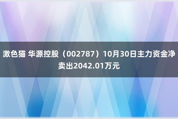   激色猫 华源控股（002787）10月30日主力资金净卖出2042.01万元