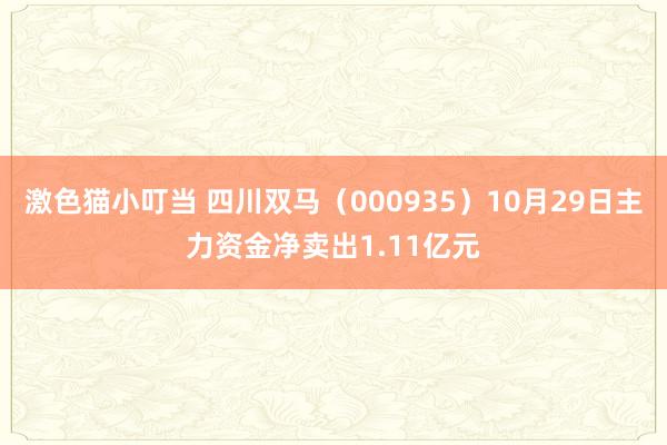 激色猫小叮当 四川双马（000935）10月29日主力资金净卖出1.11亿元