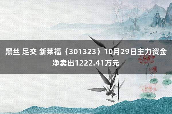   黑丝 足交 新莱福（301323）10月29日主力资金净卖出1222.41万元