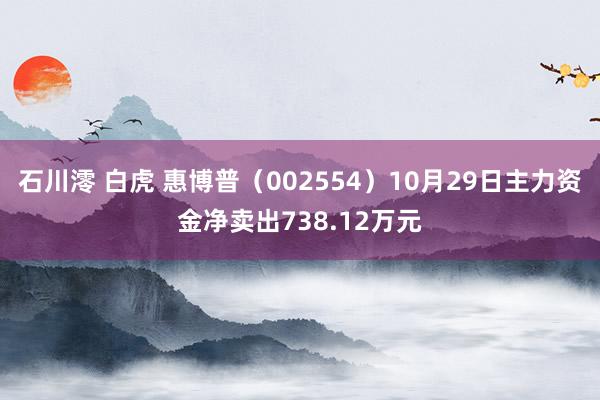   石川澪 白虎 惠博普（002554）10月29日主力资金净卖出738.12万元