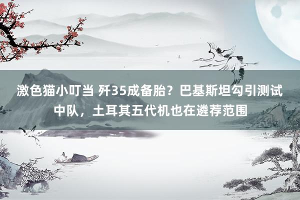 激色猫小叮当 歼35成备胎？巴基斯坦勾引测试中队，土耳其五代机也在遴荐范围