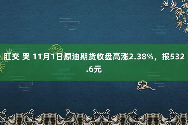   肛交 哭 11月1日原油期货收盘高涨2.38%，报532.6元