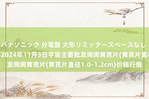   パナソニック 分電盤 大形リミッタースペースなし 露出・半埋込両用形 2024年11月3日宇宙主要批发阛阓黄芪片(黄芪片直径1.0-1.2cm)价钱行情