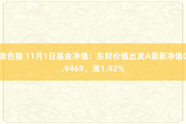   激色猫 11月1日基金净值：东财价值出发A最新净值0.9469，涨1.92%