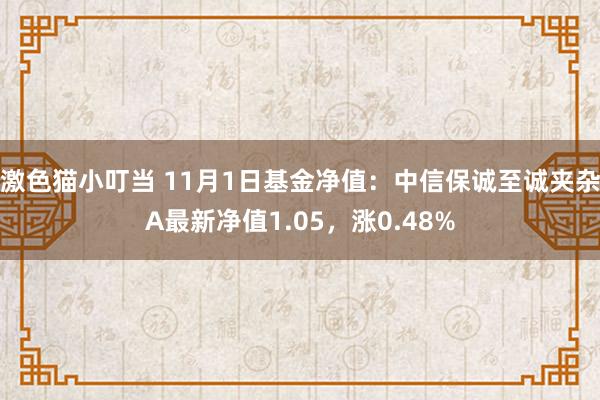 激色猫小叮当 11月1日基金净值：中信保诚至诚夹杂A最新净值1.05，涨0.48%