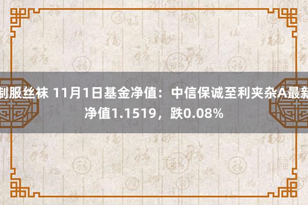   制服丝袜 11月1日基金净值：中信保诚至利夹杂A最新净值1.1519，跌0.08%