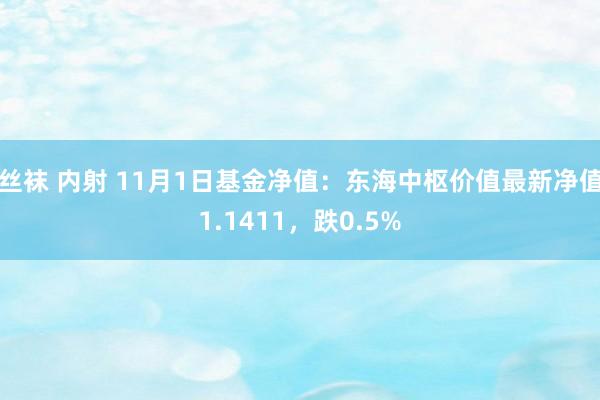   丝袜 内射 11月1日基金净值：东海中枢价值最新净值1.1411，跌0.5%