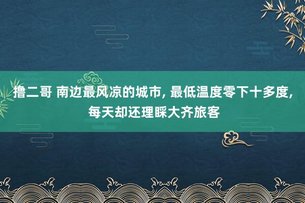   撸二哥 南边最风凉的城市, 最低温度零下十多度, 每天却还理睬大齐旅客