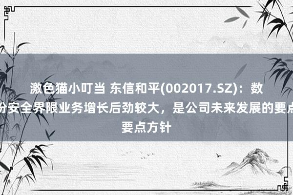 激色猫小叮当 东信和平(002017.SZ)：数字身份安全界