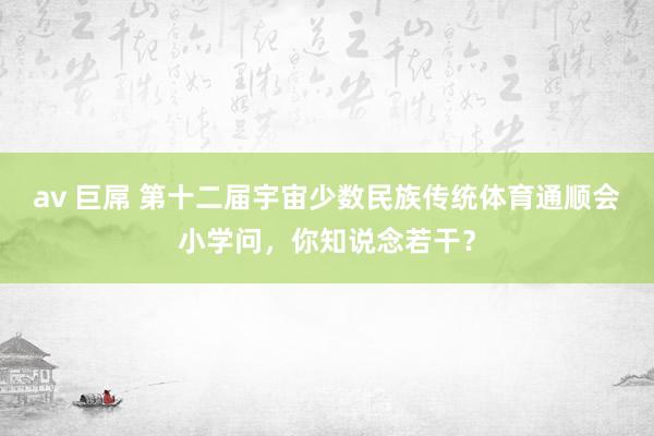   av 巨屌 第十二届宇宙少数民族传统体育通顺会小学问，你知说念若干？