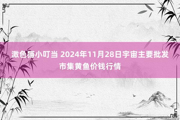   激色猫小叮当 2024年11月28日宇宙主要批发市集黄鱼价钱行情