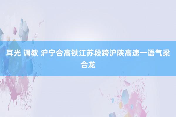   耳光 调教 沪宁合高铁江苏段跨沪陕高速一语气梁合龙