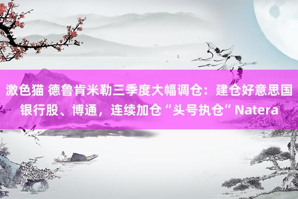   激色猫 德鲁肯米勒三季度大幅调仓：建仓好意思国银行股、博通，连续加仓“头号执仓”Natera