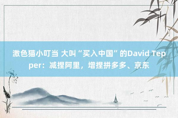   激色猫小叮当 大叫“买入中国”的David Tepper：减捏阿里，增捏拼多多、京东