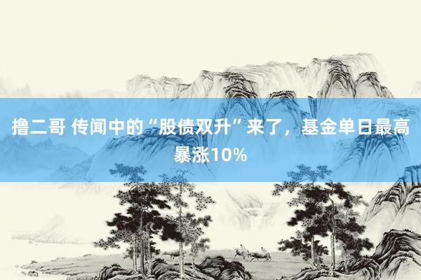   撸二哥 传闻中的“股债双升”来了，基金单日最高暴涨10%