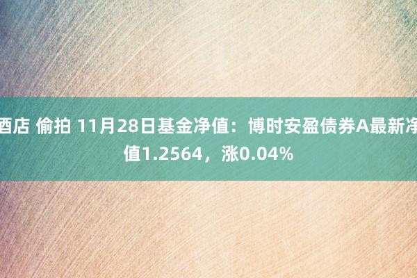   酒店 偷拍 11月28日基金净值：博时安盈债券A最新净值1.2564，涨0.04%