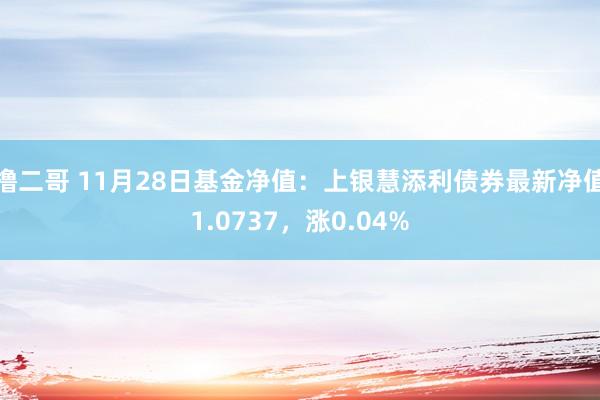   撸二哥 11月28日基金净值：上银慧添利债券最新净值1.0737，涨0.04%