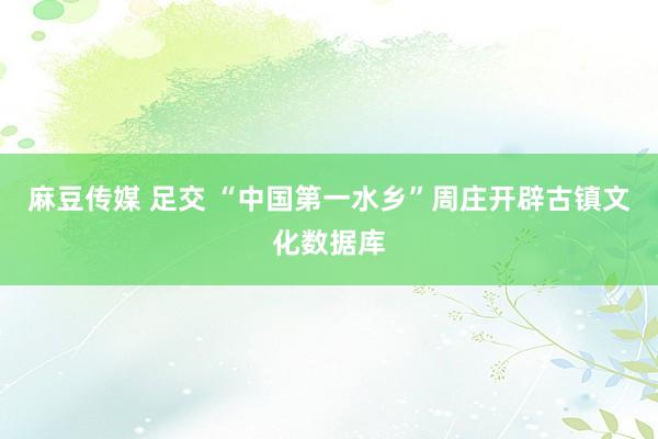   麻豆传媒 足交 “中国第一水乡”周庄开辟古镇文化数据库