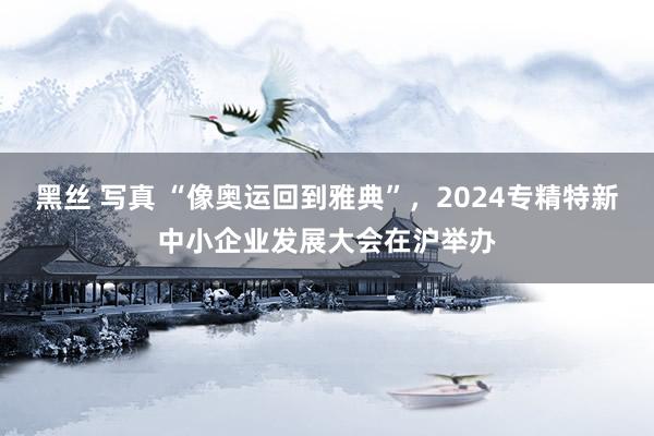   黑丝 写真 “像奥运回到雅典”，2024专精特新中小企业发展大会在沪举办