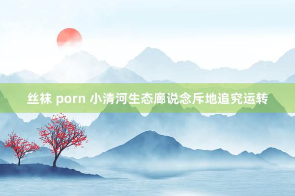   丝袜 porn 小清河生态廊说念斥地追究运转