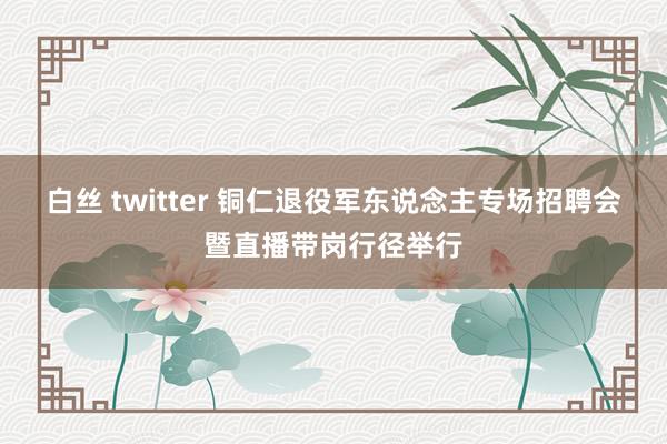   白丝 twitter 铜仁退役军东说念主专场招聘会暨直播带岗行径举行