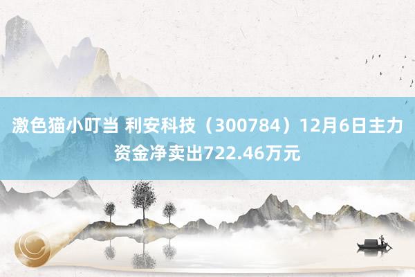 激色猫小叮当 利安科技（300784）12月6日主力资金净卖出722.46万元