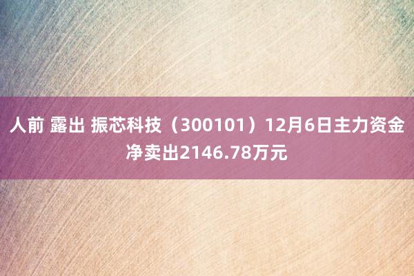 人前 露出 振芯科技（300101）12月6日主力资金净卖出2146.78万元