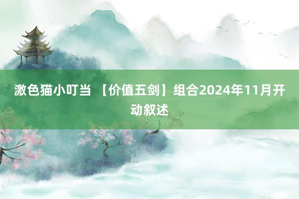 激色猫小叮当 【价值五剑】组合2024年11月开动叙述