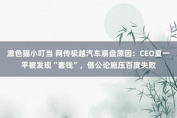 激色猫小叮当 网传极越汽车崩盘原因：CEO夏一平被发现“套钱”，借公论施压百度失败