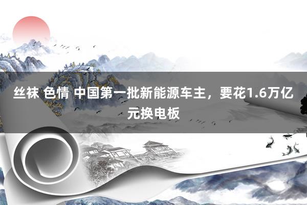 丝袜 色情 中国第一批新能源车主，要花1.6万亿元换电板