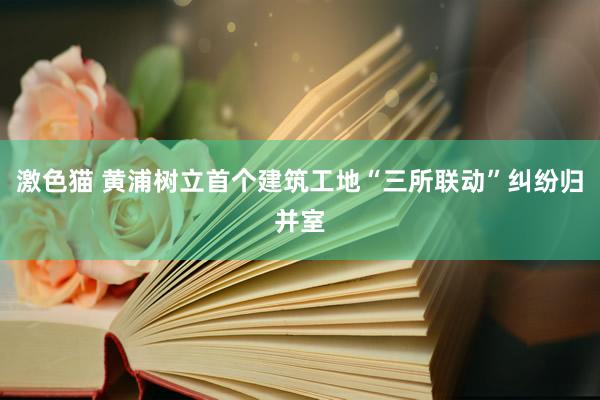 激色猫 黄浦树立首个建筑工地“三所联动”纠纷归并室