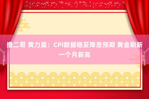 撸二哥 黄力晨：CPI数据稳妥降息预期 黄金刷新一个月新高