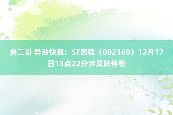 撸二哥 异动快报：ST惠程（002168）12月17日13点22分涉及跌停板